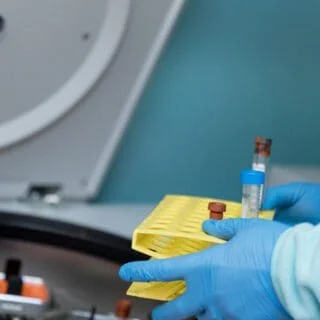 Lab