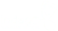 Indago White Logo